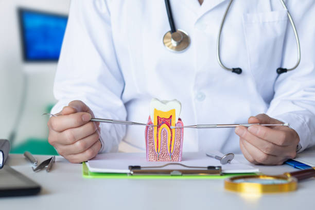 Best Emergency Cosmetic Dentistry in Bad Axe, MI